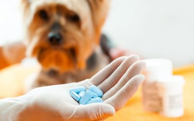 Veterinary Medicines